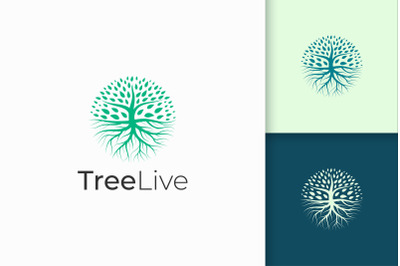 Circle Tree Logo With Root