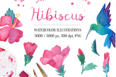 Watercolor set. Hibiscus flower.