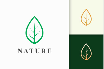 Leaf Logo in Simple Line Shape for Beauty and Health Brand