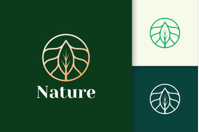 Luxury Flower Logo With Circle and Leaf