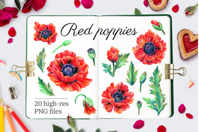 Red poppies. Set of illustrations