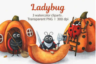 Ladybug with pumpkin, Cute watercolor clipart with ladybird