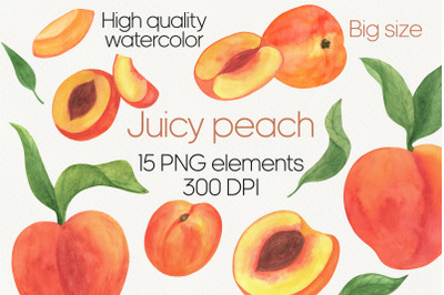 Peach fruit watercolor clipart PNG