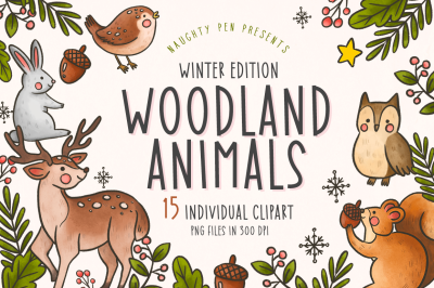 Woodland Animals Winter Clipart