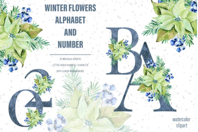 Watercolor Winter Floral Alphabet with poinsettia flowers