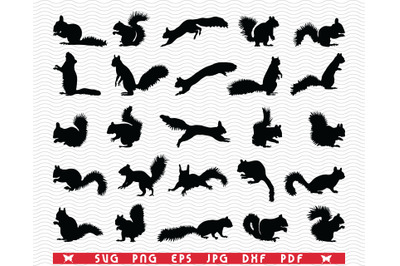 SVG Squirrels, Black Silhouettes, Digital clipart