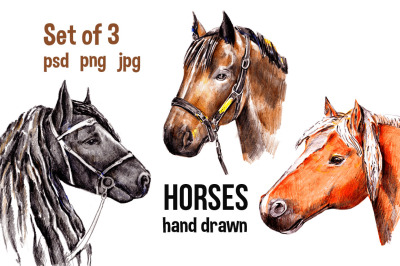 Set of Horses. Hand drawn