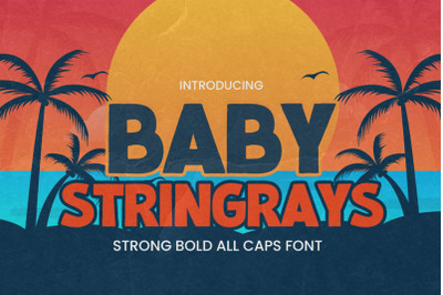 Baby Stringrays