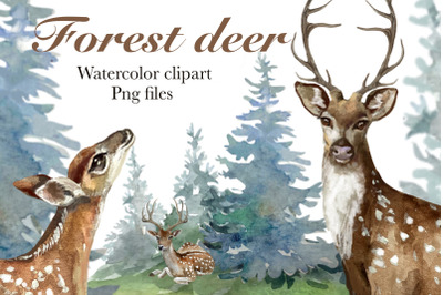 Deer clipart, woodland animals,forest illustration,png