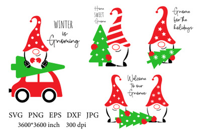 Christmas Gnomes SVG. Gnome SVG. Gnomes.