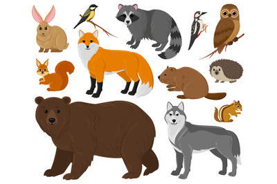 Cartoon forest animals, owl, bear, fox, raccoon and squirrel. Woodland