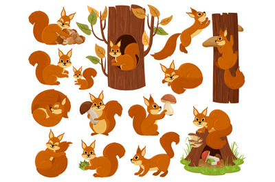 Cartoon squirrel woodland animal character, sleeping, jumping, playing