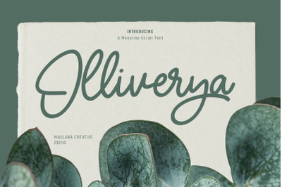 Olliverya Monoline Script Font