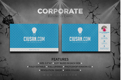 Corporate Business Card Vol. 03