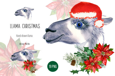 Watercolor Llama christmas clipart - Sublimation designs