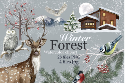 Winter forest watercolor &2C; christmas clipart &2C;png&2C;jpg