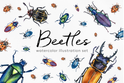 Watercolor set illustrations. Watercolor beetles illustrations.&nbsp;