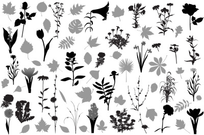 66 silhouettes of flowers and leaves