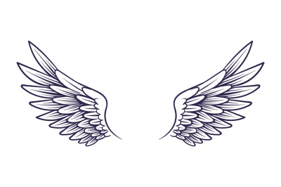 Drawn wing. Angel wings with feathers&2C; elements for logo&2C; label or tat