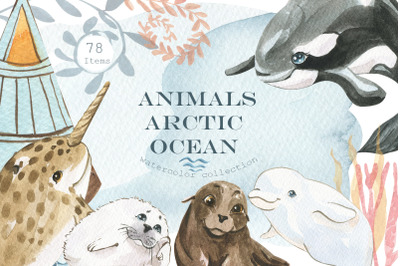 Animals of the Arctic Ocean