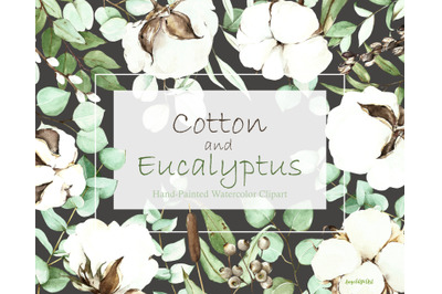 cotton flowers and eucalyptus watercolor collection.