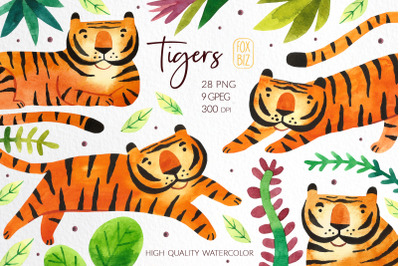 Cute tigers in jungles wild animals illustrations Jpeg Png