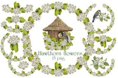 Hawthorn flowers, wedding pattern, flowers clipart
