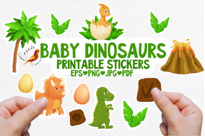 Baby Dinosaurs Stickers