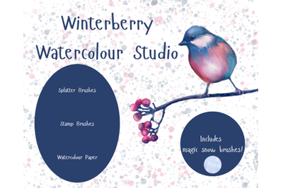 Winterberry Watercolour Studio for Procreate