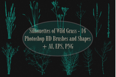 Silhouettes of Wild Grass - 16 Photoshop HD Brushes and Shapes + AI, E