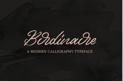 Birdinaire | A Modern Calligraphy Typeface