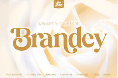 Brandey - Ellegant Vintage Font