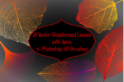 Leaf Structure Skeletons - 18 Vector Skeletonized Leaves with Veins +