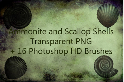 Ammonite and Scallop Shells Transparent PNG + 16 Photoshop HD Brushes