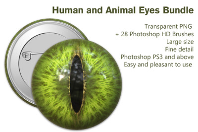 Human and Animal Eyes Bundle - Transparent PNG + 28 Photoshop HD Brush