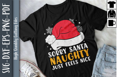 Santa Claus Cat Naughty Feels Nice