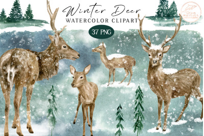 Watercolor Deer PNG. Winter Woodland Clipart Set