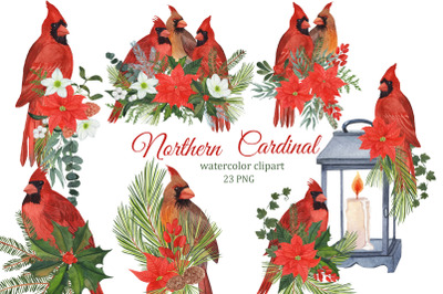 Red Cardinal Christmas watercolor clipart, Winter birds and bouquets P