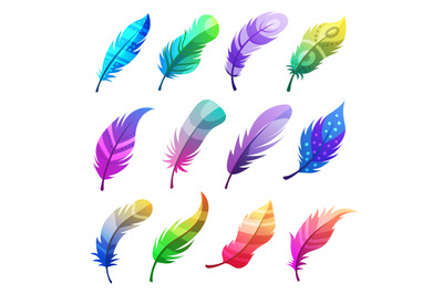 Feather colored. Stylized decorative tribal ornaments on feathers of b