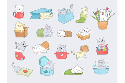 Cat in cups. Relaxing cute little kitty hide in cup or slippers vector