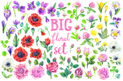 Big floral set. 111 items. PNG
