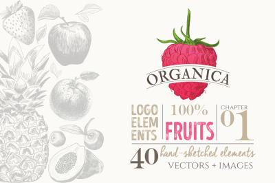 Organic Logo Elements – Fruits