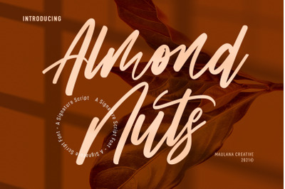 Almond Nuts Signature Script Font