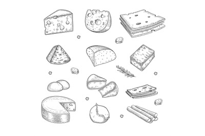 Cheese hand drawn. Milk farm tasty organic healthy product gourmet cui