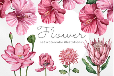 Watercolor set illustrations flower. National flowers.