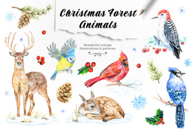 30 PNG images. Winter forest animals