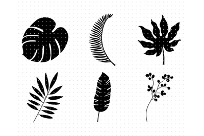 Leaves SVG