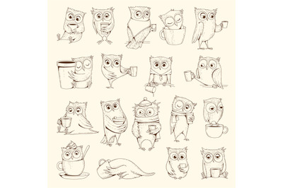 Owls with cup. Sleep concept birds characters sitting on coffee cups v