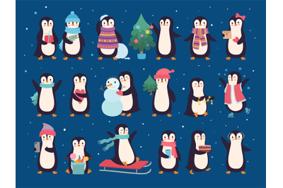 Winter penguins. Cute wild baby characters north pole animals penguins