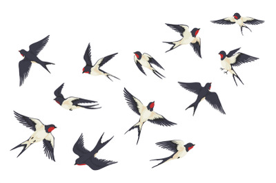 Flying birds flock. Cartoon hand drawn swallows in fight with differen